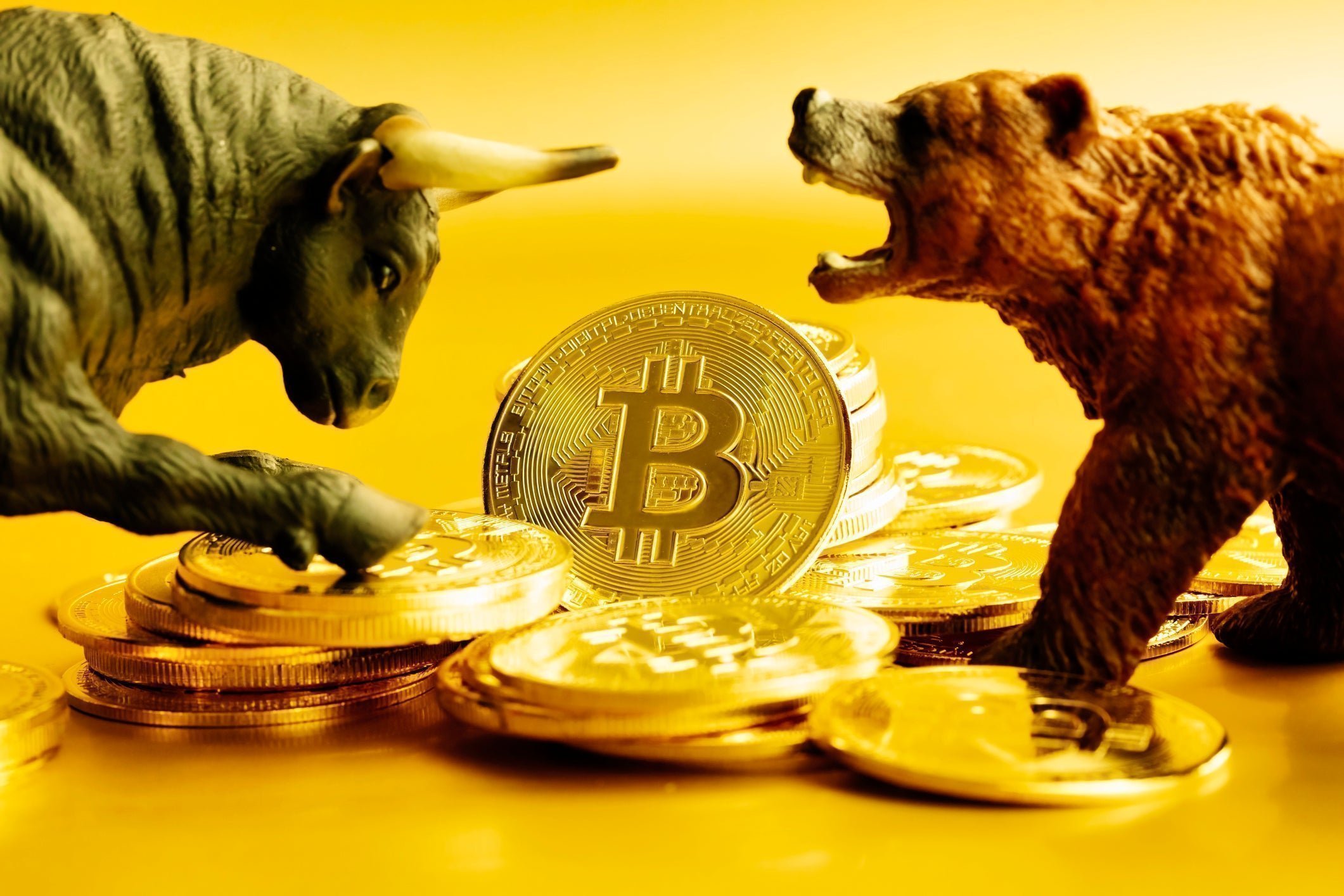 When will the crypto bear market end